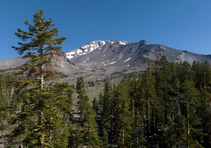 Trump administration presses rollback of 'Roadless Rule' on wild lands