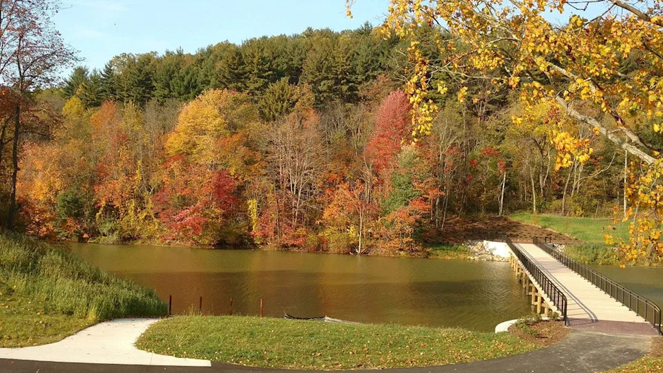 Atwood Lake surrounded by trees.