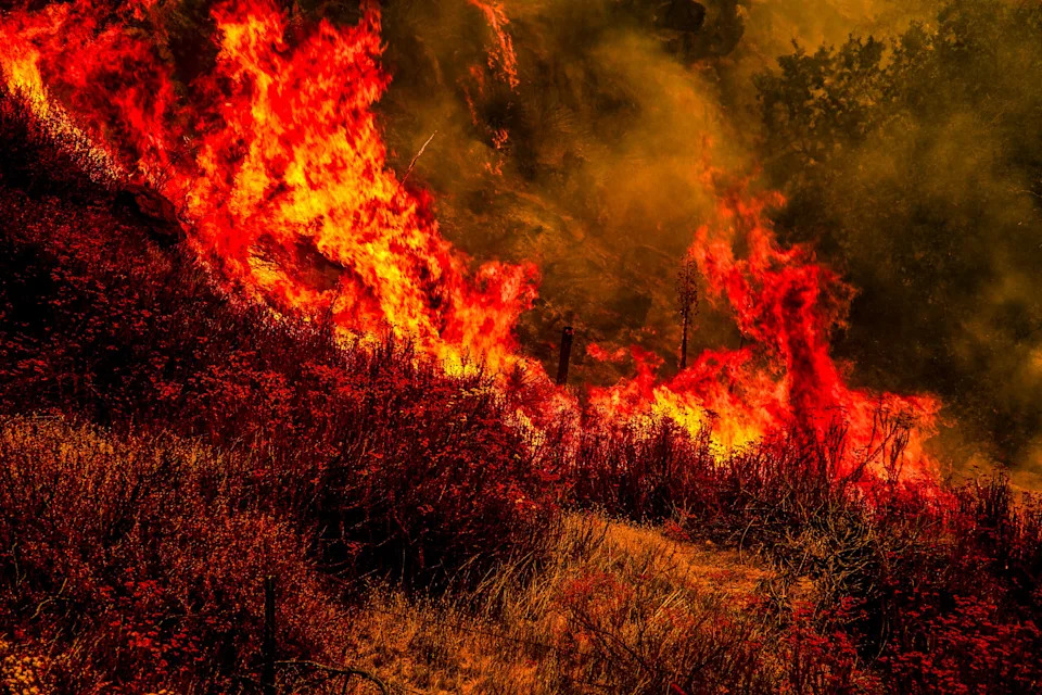 Gifford Fire burns 30,000 acres in Los Padres National Forest on August 2, 2025. Flames sweep through rugged terrain near Santa Maria, California, forcing evacuations and endangering nearby communities and wildlife.