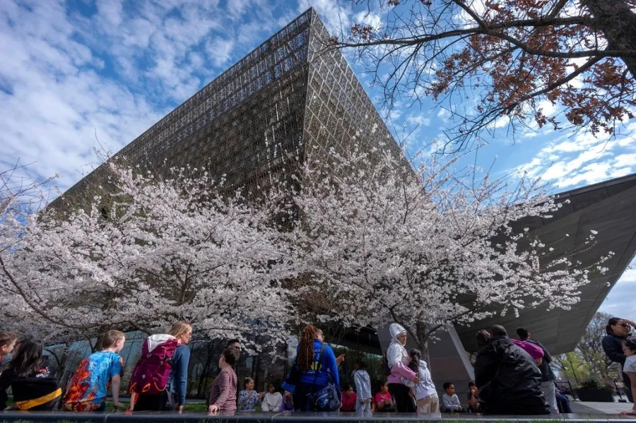 Opinion - Trouble at the Smithsonian: ‘America’s Attic’ under attack