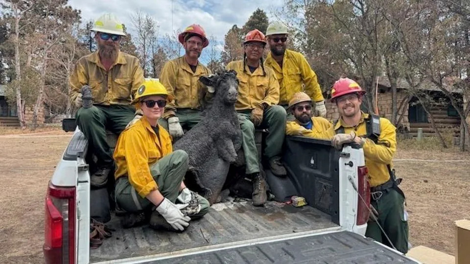 Beloved Grand Canyon statue Brighty the Burro survives a wildfire, but his road to recovery is uncertain