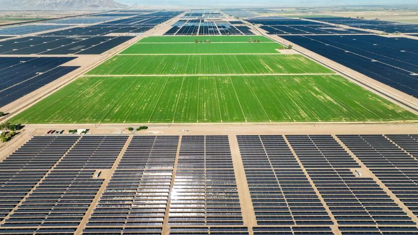 Imperial Valley, CA, Tuesday, 8/30 - Solar farms surround a West-Gro alfalfa farm. (Robert Gauthier/Los Angeles Times)