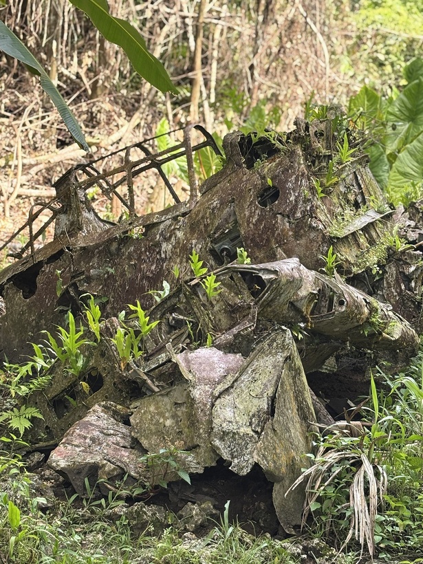 ペリリュー島の各地に点在する戦跡