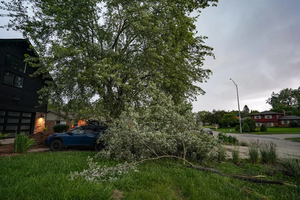 A tree branch narrowly missed IndyStar Multimedia Journalist Michelle Pemberton while retrieving cameras from her car on Wed. June 18, 2025, in Indianapolis. “The siren sounded, no rain or wind yet, so I grabbed my cameras from my car and a large gust of hit, so i started running. I heard a large crack I knew was our large tree, so I kept running.”