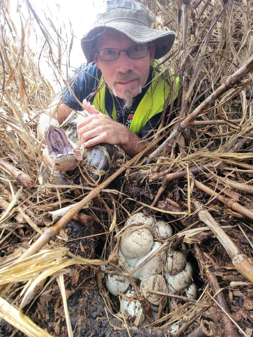 Florida Python Challenge winner nabbed 60 snakes and she's just 4'11"