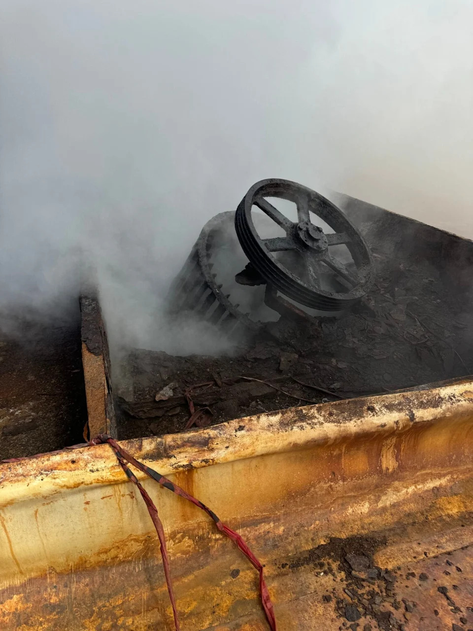 At an Iowa pork plant, piles of dead pigs and wafting sulphur dioxide