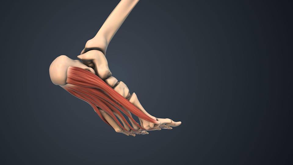 Cómo fortalecer los músculos de tus pies puede mejorar cómo mueves todo tu cuerpo (y 3 ejercicios fáciles para lograrlo)