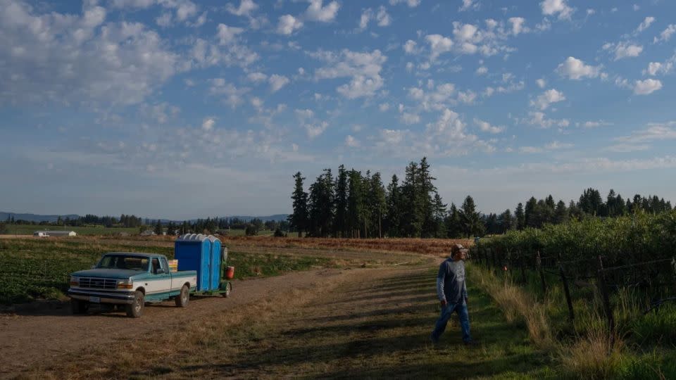 Manuel Nava supervisa a su cuadrilla de recolectores en una granja de bayas. - Evelio Contreras/CNN