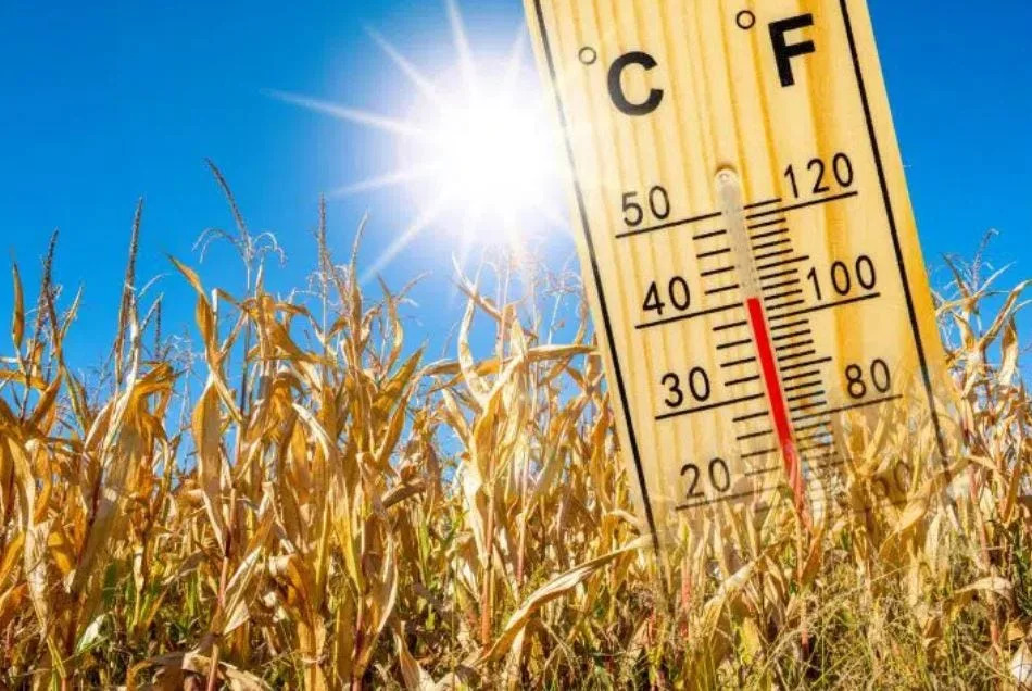 OSHA’s proposed rule on “Heat Injury and Illness Prevention in Outdoor and Indoor Work Settings” would establish a federal heat standard to protect employees in indoor and outdoor working conditions.