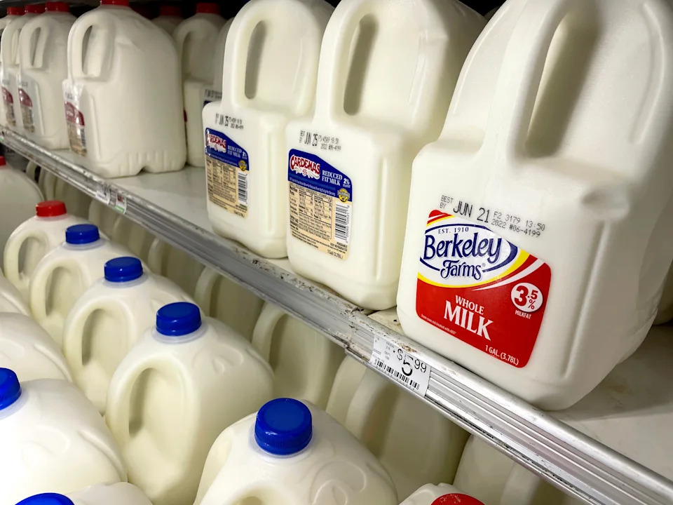 Official drink: Milk.