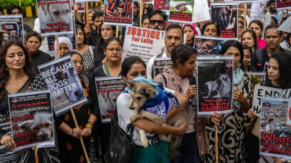 Animal lovers protest in Mumbai against the Supreme Court's order to remove stray dogs from Delhi national capital territory on August 17, 2025 - Satish Bate/Hindustan Times/Sipa