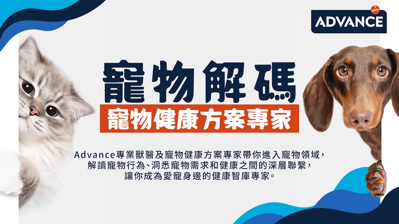 Advance寵物解碼　寵物健康方案專家