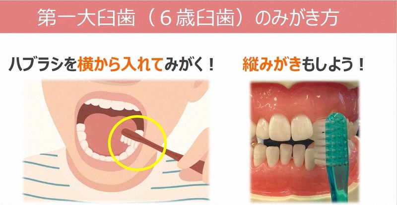 さまざまな磨き方を取り入れるようアドバイスしている=サンスターグループ提供