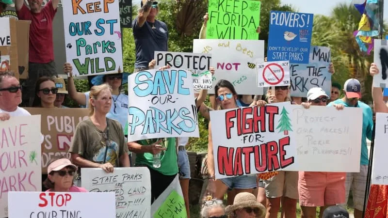Florida director of state lands resigns months after predecessor