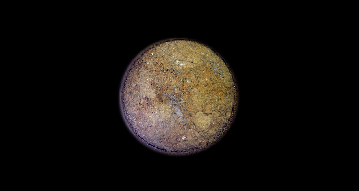 Scientists Prepare to Study Mars Rock With Signs of Ancient Life