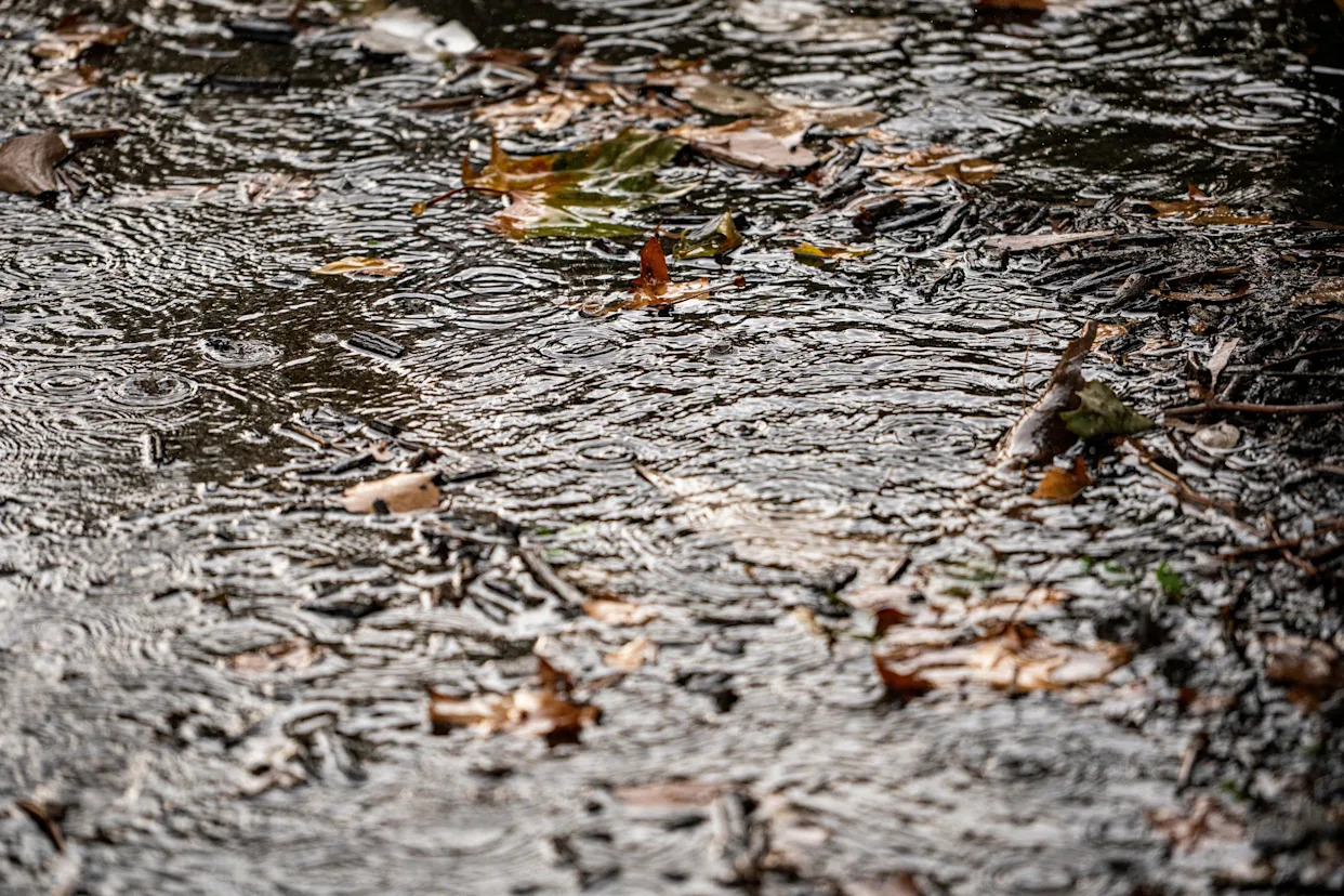 When will Washington skies clear? Early-season atmospheric river hits the PNW