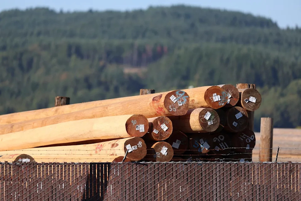 The Sheridan wood treatment facility, operated by various companies since 1946, has until recently used a hazardous wood preservative known as pentachlorophenol to prevent rotting and fungus in products like telephone poles and wood ties. (Amanda Loman/InvestigateWest)