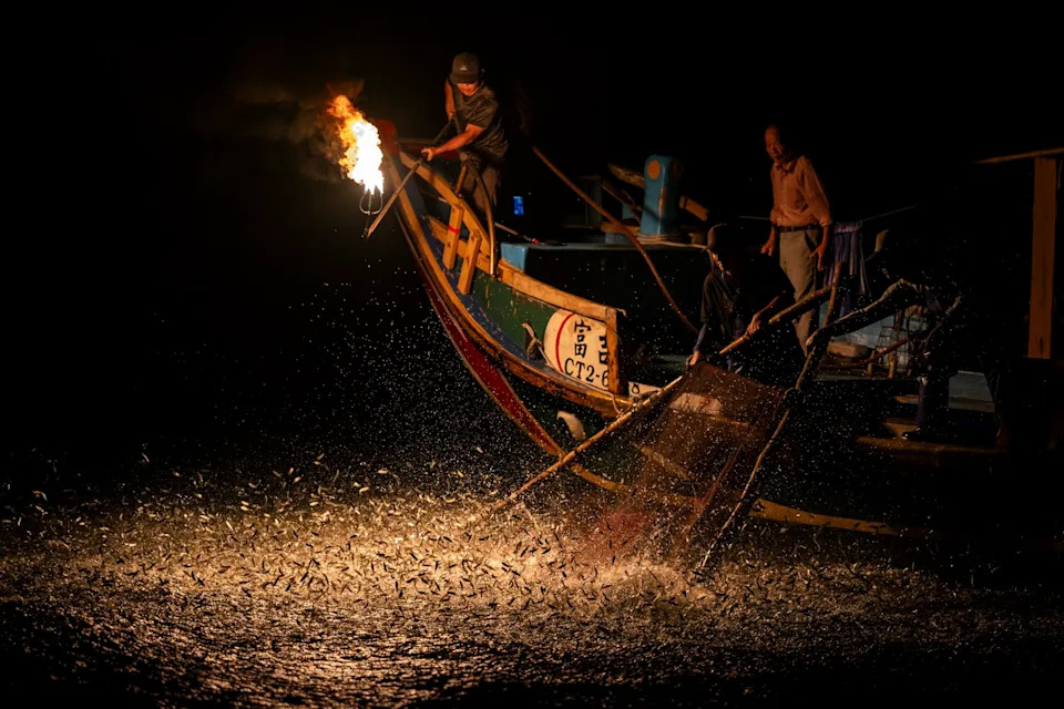 Ocean Photographer of the Year 2025 Finalists