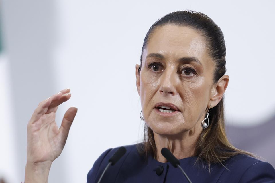México pedirá a EE. UU. la extradición de la socia de la guardería donde murieron 49 bebés