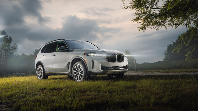 The BMW X5 Silver Anniversary SUV parked on a country road