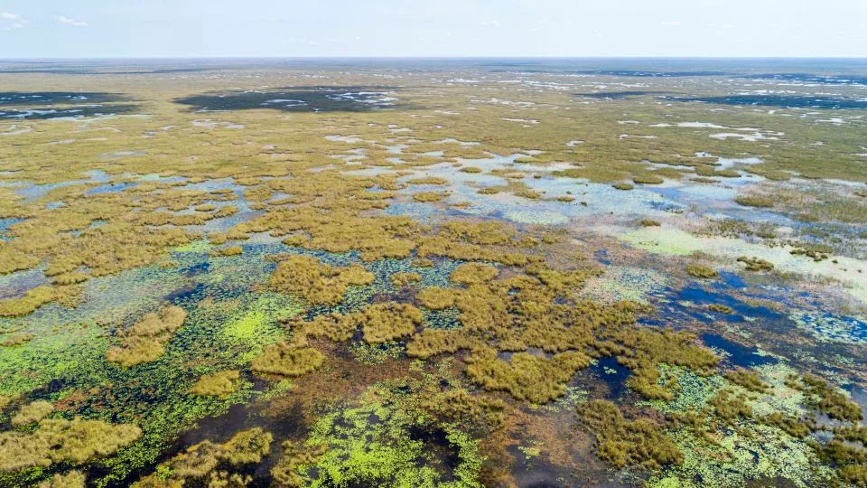 Holey Land Francis S. Taylor Wildlife Management Area in the Everglades, Florida. - Jeff Greenberg/Getty Images