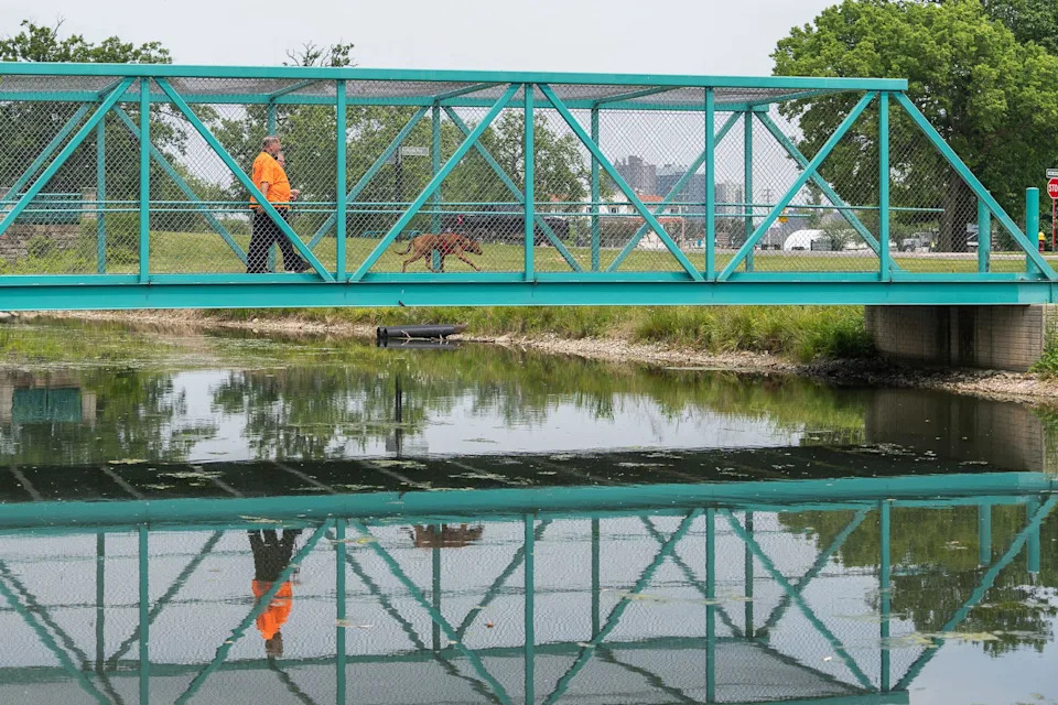 K9 police search and recovery training takes place on Belle Isle in Detroit on Thursday, June 12, 2025.