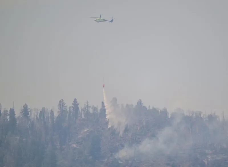 Wildfire wrap_SGW_00846.jpg