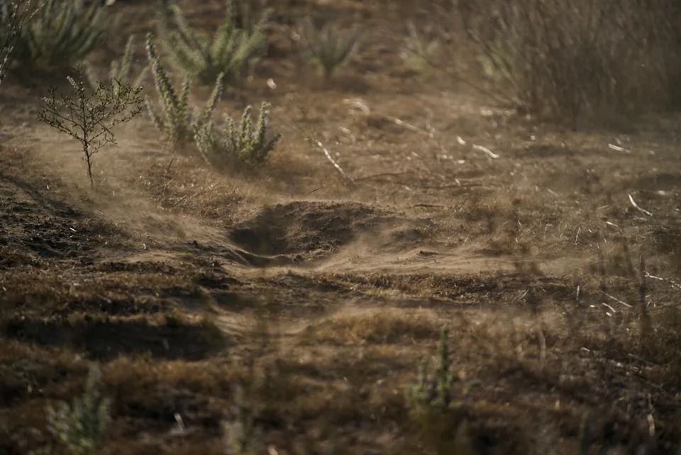 Dusty, barren landscape with sparse vegetation and small shrubs scattered on the ground