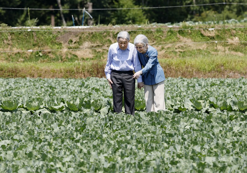 大日向開拓地の野菜畑を散策される上皇ご夫妻＝長野県軽井沢町で2025年8月23日午前10時47分（代表撮影）