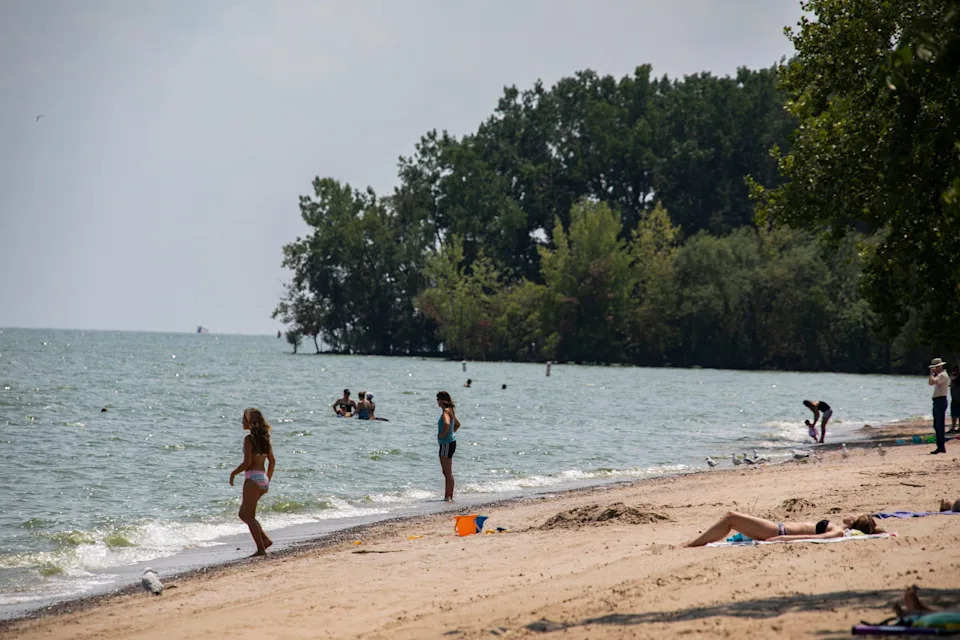 Beachgoers enjoy Lake Erie despite a yellow warning flag indicating dangerous conditions at Sterling State Park in Monroe Friday, July 26, 2019.