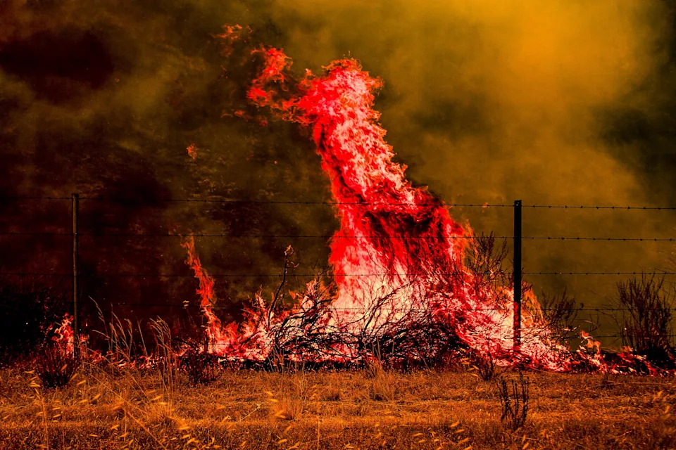 Gifford Fire burns 30,000 acres in Los Padres National Forest on August 2, 2025. Flames sweep through rugged terrain near Santa Maria, California, forcing evacuations and endangering nearby communities and wildlife.