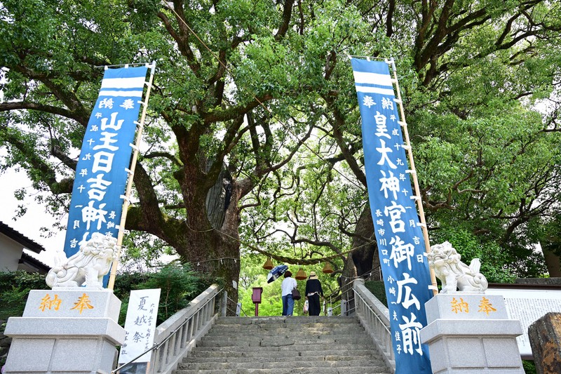 山王神社の境内入り口にそびえ立つ2本の被爆クスノキ。樹齢約500～600年とされ、幹回りは左が6メートル、右が8メートル超ある＝長崎市で2025年6月30日、北山夏帆撮影