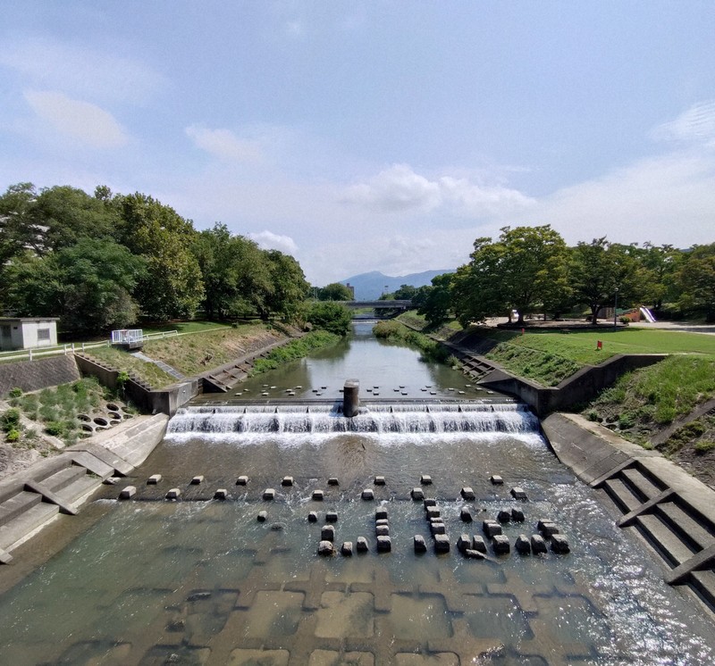 石手川（中央）の周辺は今、市民の憩いの場となっている。両岸に緑地が広がり、春になると桜が咲き誇る＝松山市で2025年8月13日午前10時9分、狩野樹理撮影