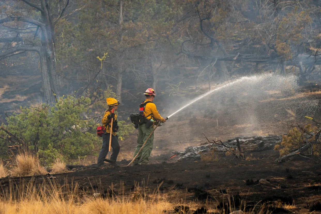 Oregon wildfire begins stabilizing as California blaze threatens vineyards