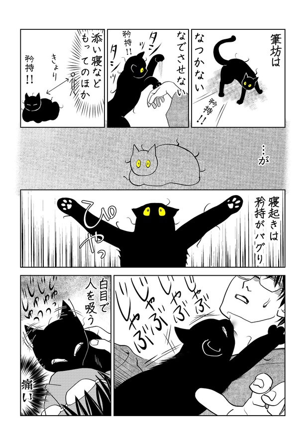 『筆坊日記』(1／25)