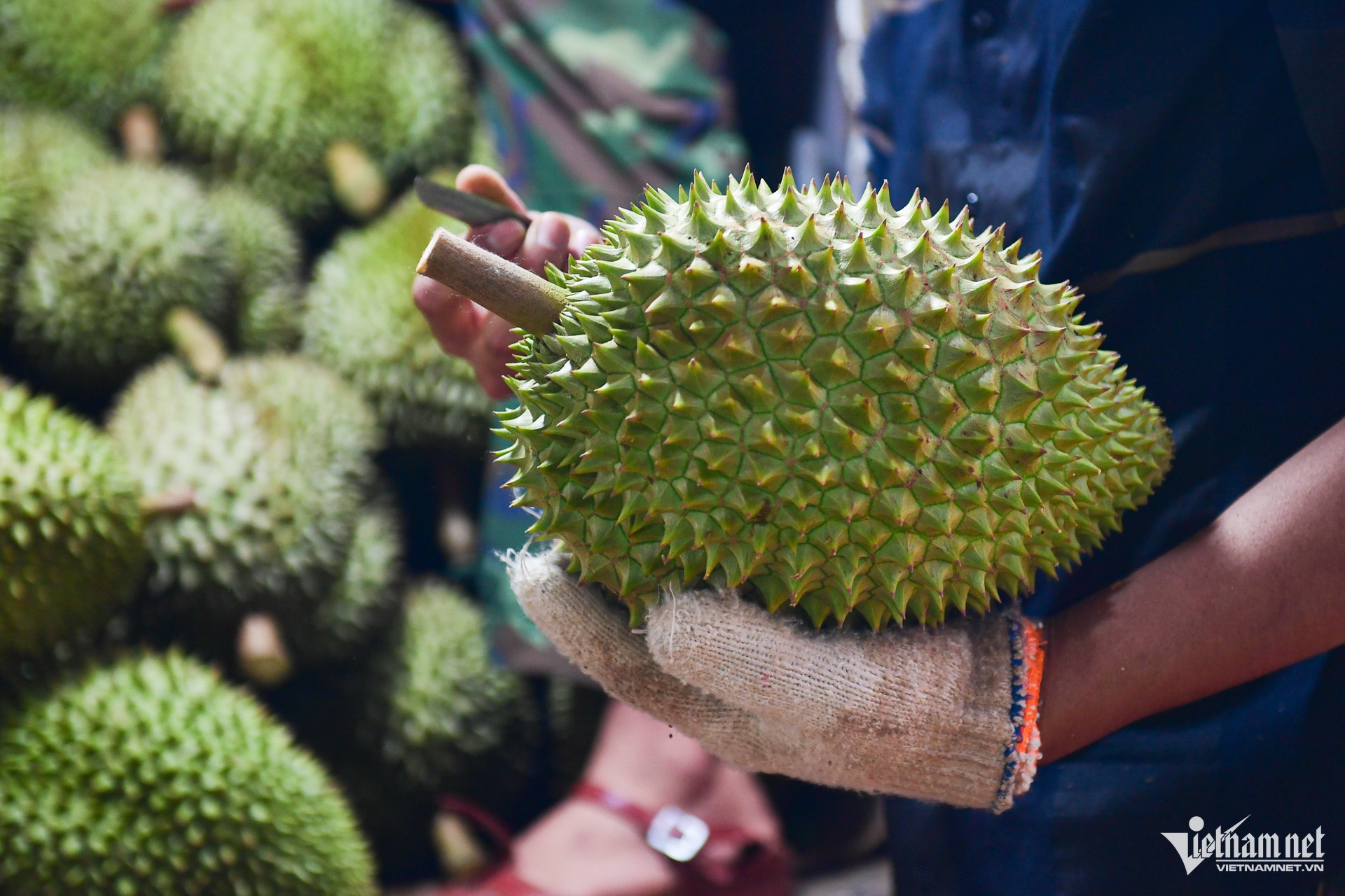 Giá sầu riêng ‘chạm đáy’ ở chợ Hà Nội, có loại chỉ còn 35.000 đồng/kg