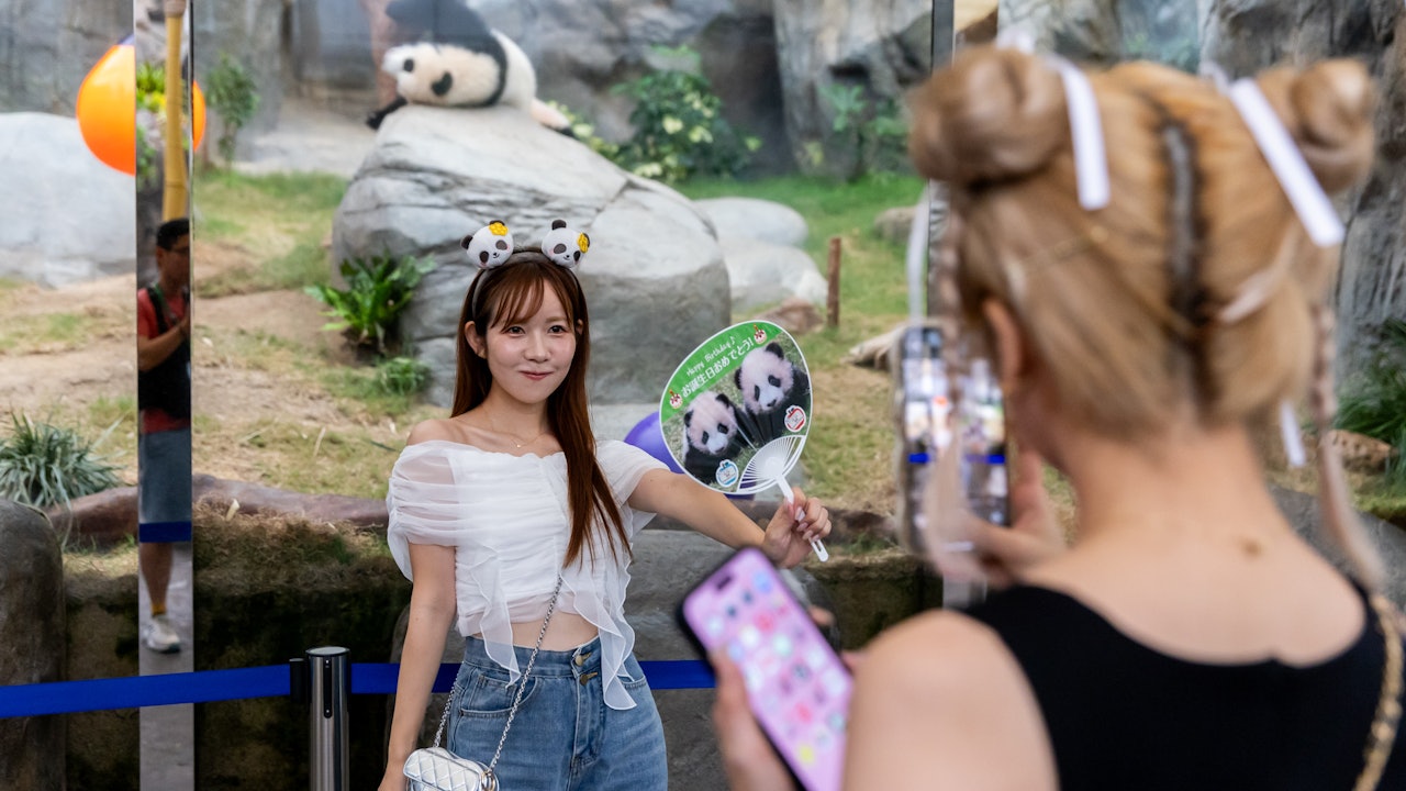 大熊貓龍鳳胎8.15生日　旅發局聯日本旅行社推「大熊貓慶生遊港」