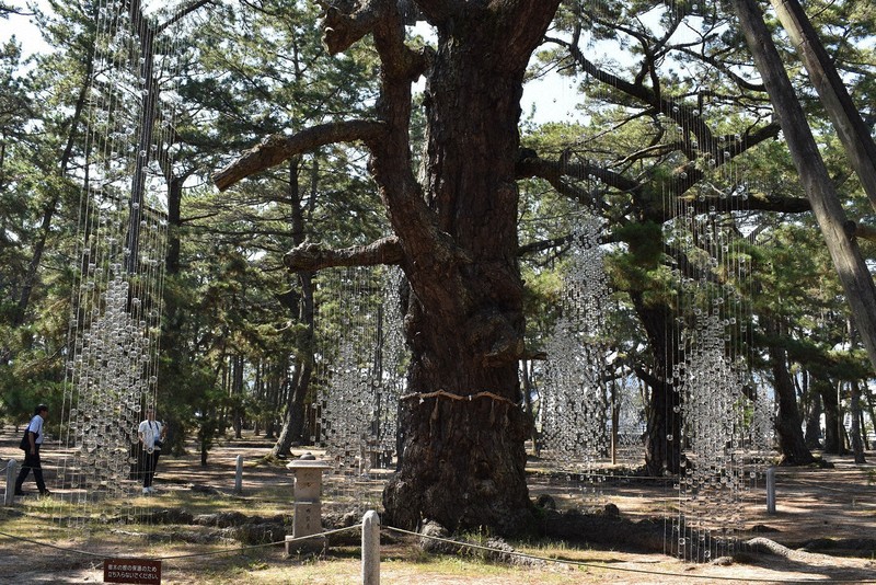 瀬戸芸・夏会期開幕　香川東部も会場に　地元の特徴生かした作品も