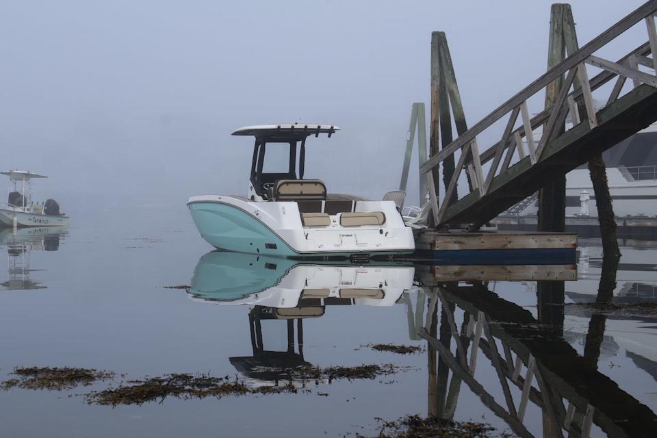yamaha 255 fsh in fog