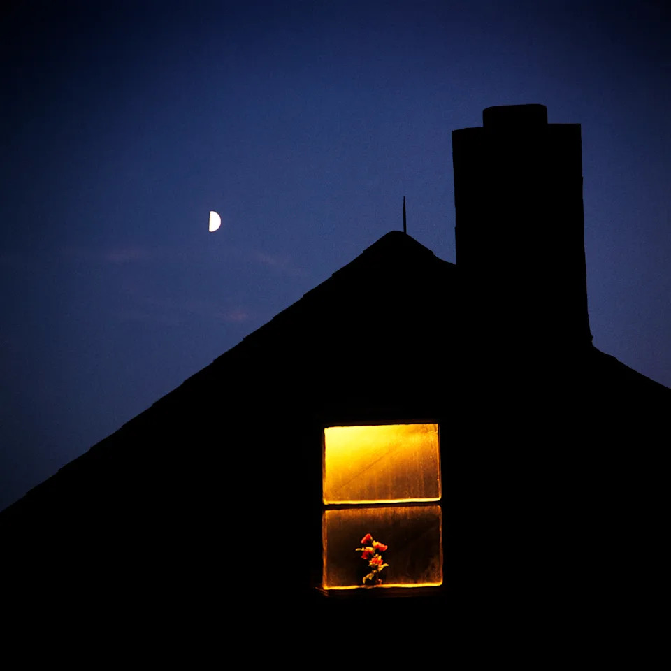 House silhouette at night with a lit window showing flowers inside, and a crescent moon in the sky