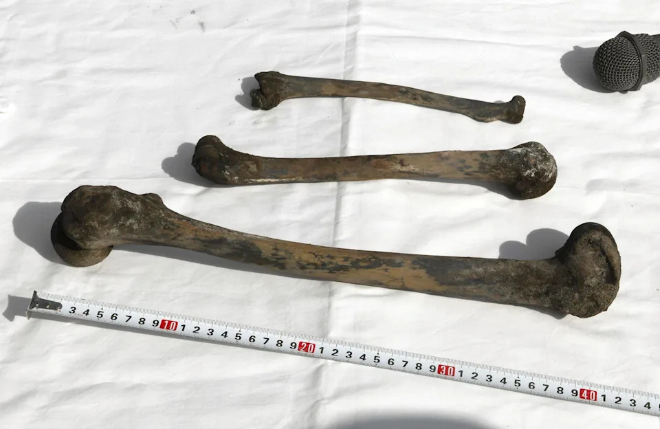 This shows what are believed to be bones, recovered from Chosei Mine in Ube, Yamaguchi prefecture, southern Japan Monday, Aug. 25, 2025.  / Credit: Kyodo News via AP