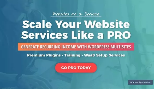 Waas.PRO Multisite WordPress Plugins