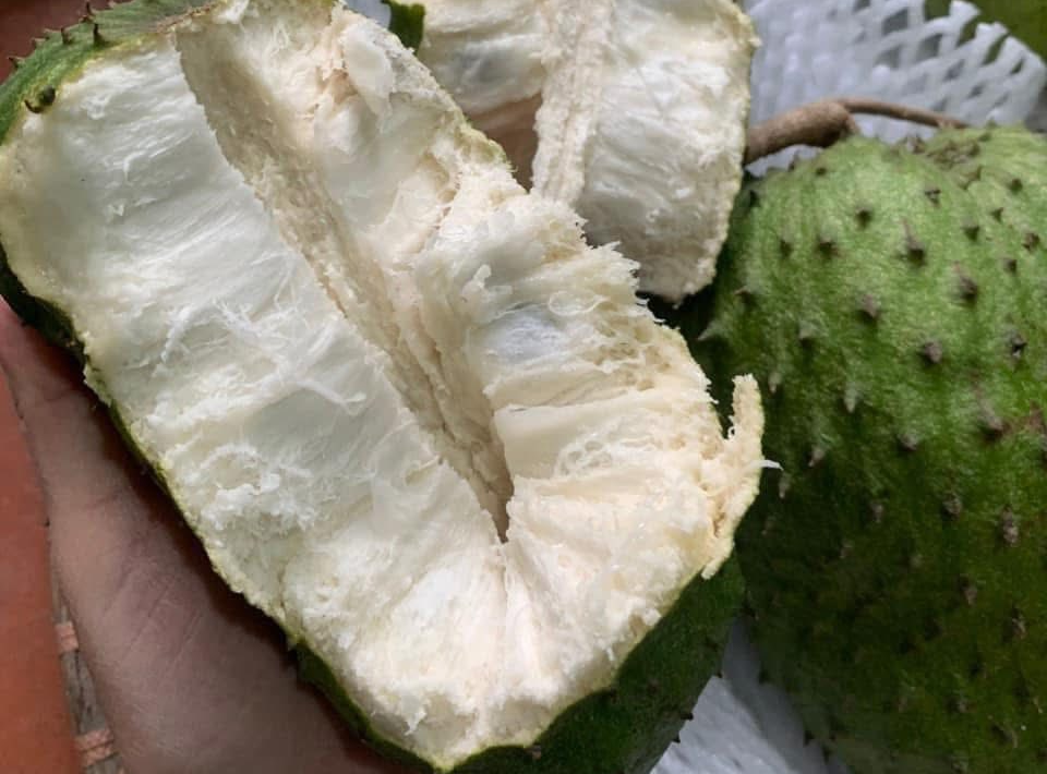 Mãng cầu xiêm có tốt cho bệnh nhân ung thư không?