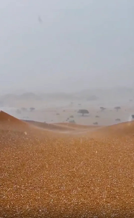 Rain falls on a desert landscape with scattered plants and distant hills, creating a rare and serene scene of nature's beauty