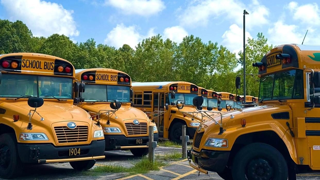 Thieves Steal Cats From Two Dozen School Buses
