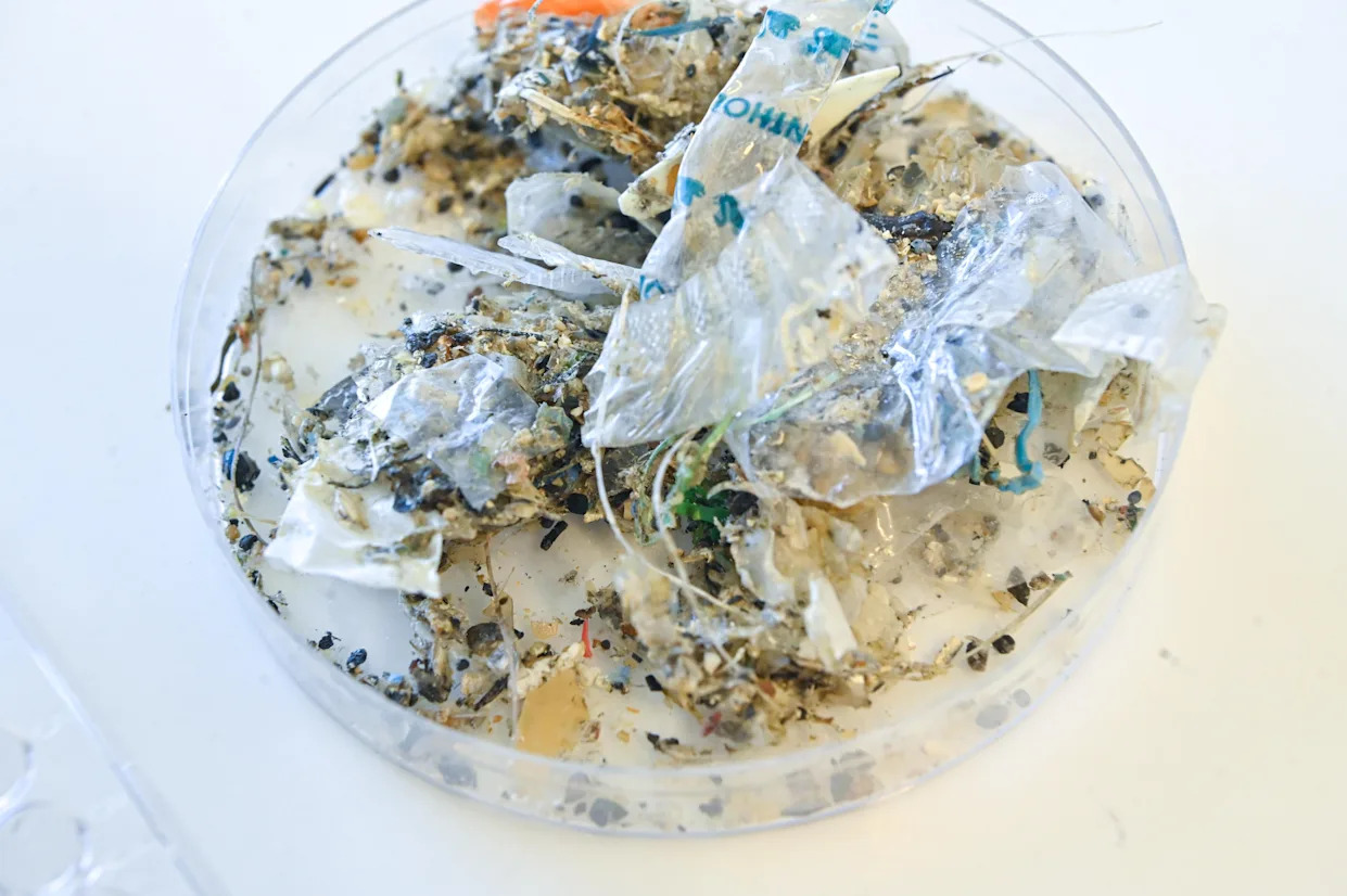 Plastic causing "disease and death from infancy to old age," report warns