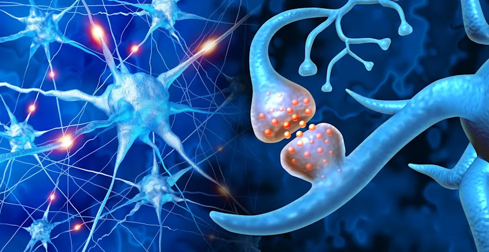 Graphic illustration showing an array of brain cells and nerve endings on the left, with an up-close view of the junction where two nerves communicate.