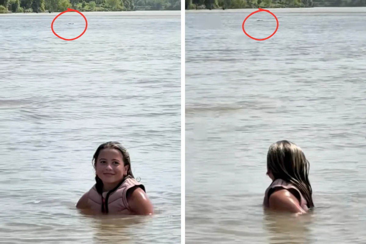 Clair Hurta, a 12-year-old competitive wakesurfer, encountered a nuisance alligator in the Colorado River in Texas over the weekend (TikTok/@malibuwakeclm288)