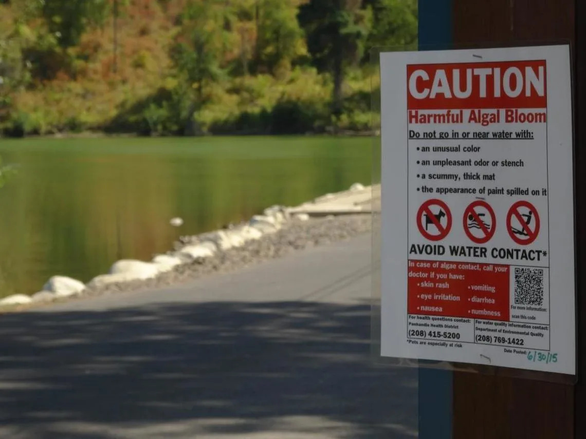 Toxic algae bloom health advisory issued near Idaho’s CJ Strike Reservoir