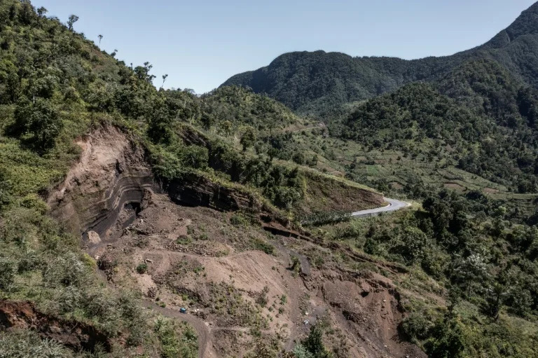 Fight to save last forests of the Comoros unites farmers, NGOs